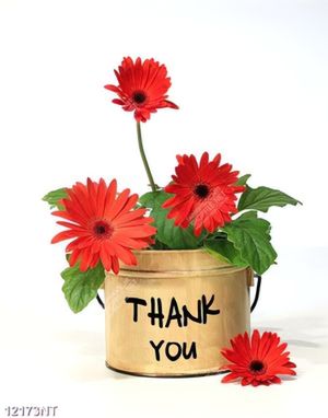 Tranh thank you