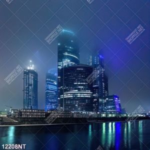 Tranh thành phố bên sông 12208NT