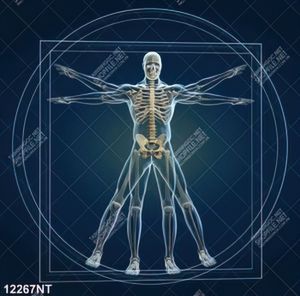 Tranh người 3D