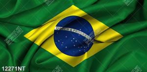 Tranh biểu tượng logo quốc kỳ Brazil