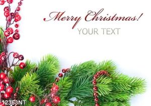 Tranh merry chirstmas