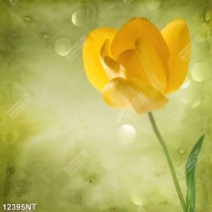 Tranh hoa tulip vàng