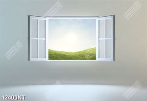 Tranh cánh cửa sổ mở 