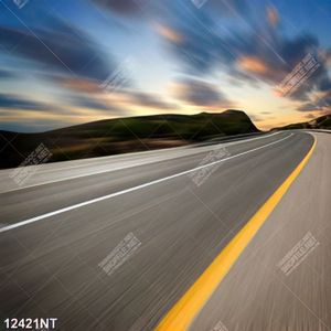 Tranh con đường 12421NT