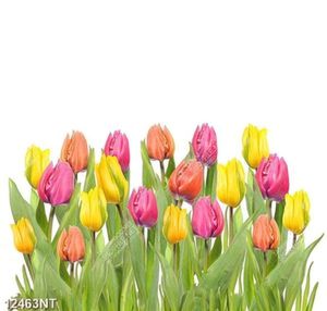 Tranh hoa tulip 12463NT