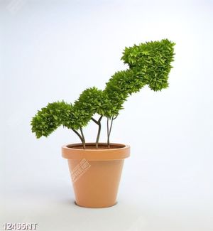 Tranh chậu cây xanh 12465NT