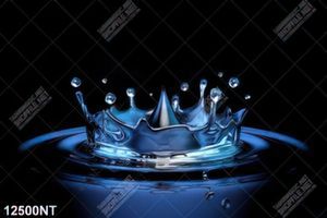 Tranh vương niện nước nghệ thuật