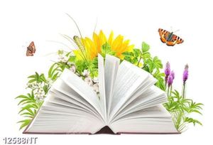 Tranh hoa lá và quyển sách 