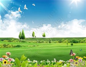 Tranh cánh đồng rộng lớn