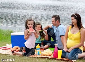 Tranh gia đình đi picnic vui vẻ