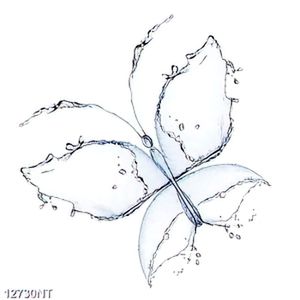 Tranh cánh bướm nước 