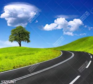 Tranh con đường 12772NT