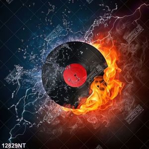 Tranh đĩa than nghệ thuật 12829NT