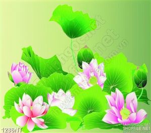 Tranh hoa sen