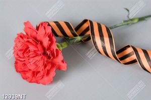 Tranh hoa đẹp 12939NT