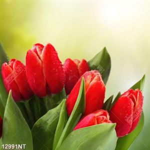 Tranh hoa tulip đẹp 12991NT