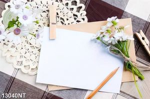 Tranh hoa và giấy trắng