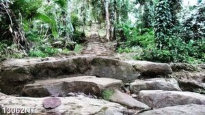 Tranh vườn cây 13062NT