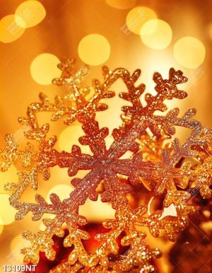 Tranh noel 13109NT