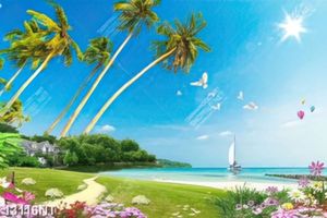 Tranh psd bãi biển đẹp