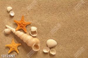 Tranh vỏ sò trên cát 
