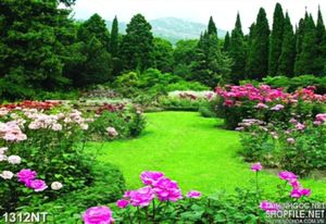 Tranh khu vườn hoa