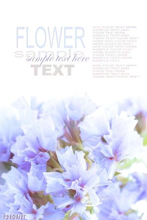 Tranh flower