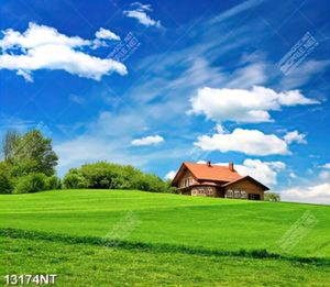 Tranh ngôi nhà trên đồi cỏ xanh 13174NT
