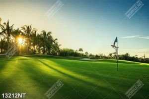 Tranh sân golf tươi xanh