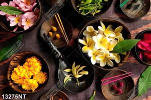 Tranh các loại hoa