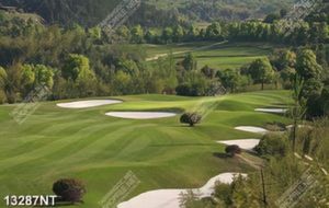 Tranh file gốc sân golf đẹp