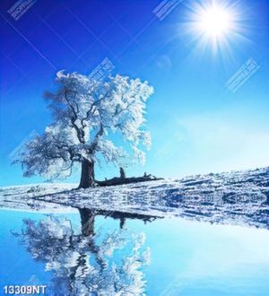 Tranh mùa đông 13309NT