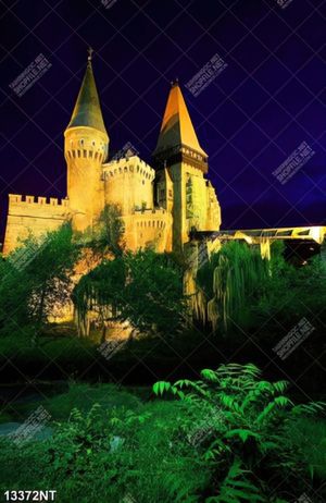 Tranh lâu đài cổ 13372NT