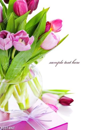 Tranh hoa tulip 13374NT