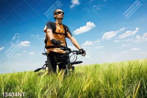 Tranh đạp xe trên cánh đồng lúa mạch