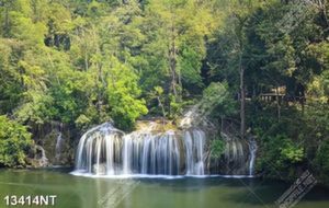 Tranh thác nước trong khu rừng xanh 13414NT