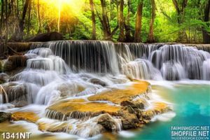 Tranh rừng thác đổ