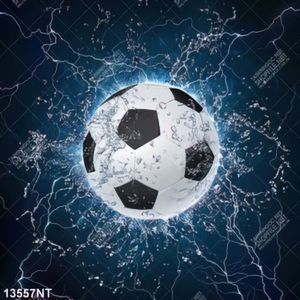 Tranh quả bóng nghệ thuật 