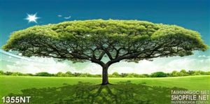 Tranh cây cổ thụ