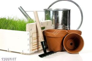Tranh dụng cụ làm vườn
