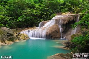 Tranh suối mơ