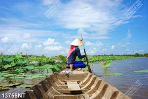 Tranh cô gái chèo thuyền