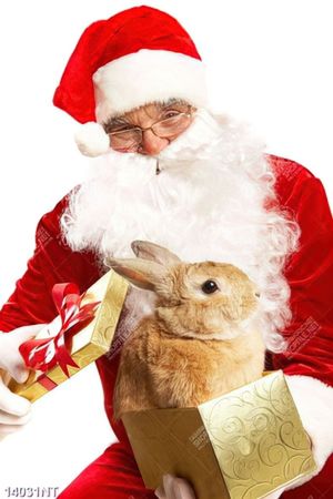 Tranh ông già noel 