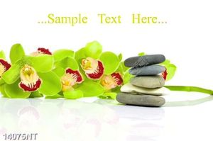 Tranh hoa lan và sỏi đá