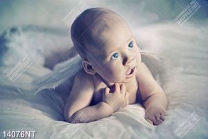 Tranh cậu bé đáng yêu