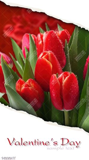 Tranh valentine's day