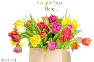Tranh hoa tulip 14171NT