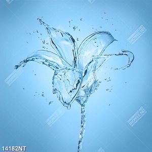 Tranh bông hoa nước nghệ thuật 14183NT