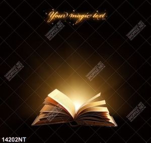 Tranh quyển sách mở 14202NT