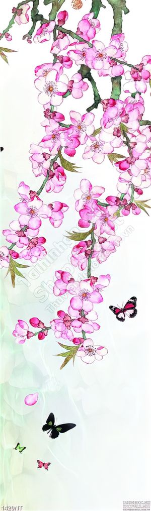 Tranh vẻ in uv hoa anh đào